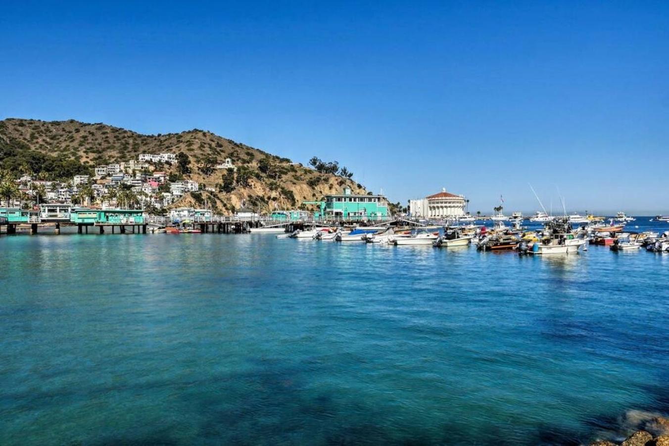 Lux Oceanfront Penthouse Suite Wpanoramic Views Avalon Exterior photo